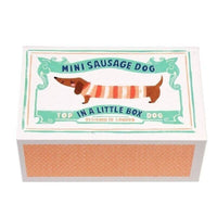 Mini Sausage Dog In A Little Box